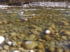 -黑河国家森林公园