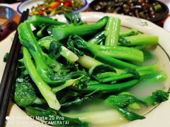 -园林美食城·本土农家菜(杨和镇店)