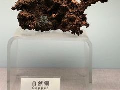 -中国地质博物馆