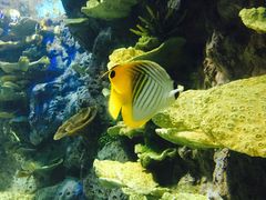 -福州罗源湾海洋世界旅游区