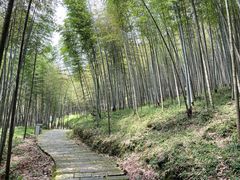 -广州市石门国家森林公园