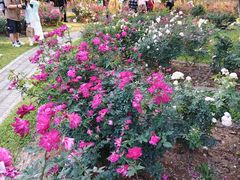 -人民公园(罗湖区)