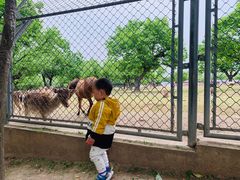 景点-西安秦岭野生动物园