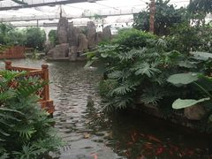 -汤山翠谷生态餐厅