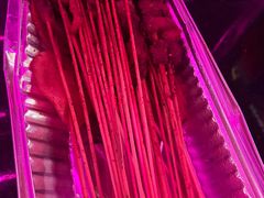 -牧歌KTV(观前店)
