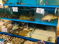 -老苏扬饭店