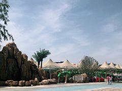 -海盗传奇水世界