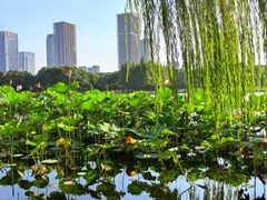 -尚贤河湿地