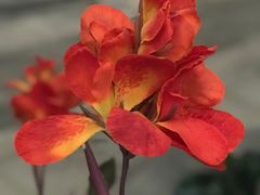 -南宫温泉水世界