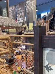 -卡通尼·Safari非洲探索乐园·生日会(金桥国际商业广场店)