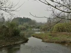 -桤木河湿地公园