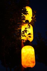 -明洞造型精品烫染