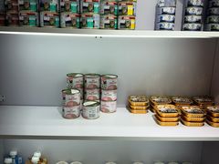 -青奢宠物·青奢猫舍