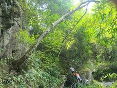 -藏龙百瀑风景区