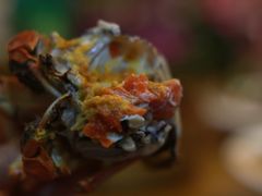 -呼吸森林·生态农庄农家乐私房菜