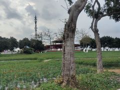 -光明农场大观园