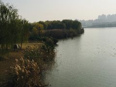 -镇江市南山风景名胜区竹林景区