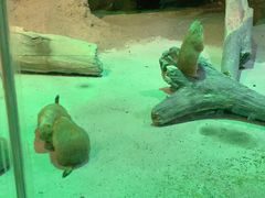 -苏州海洋馆