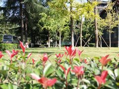 -四川大学(华西校区)