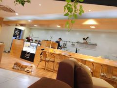 大堂-柴务处·柴犬主题狗咖