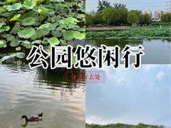 -太阳宫公园