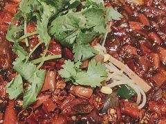 -望乡楼上海菜(日月光店)