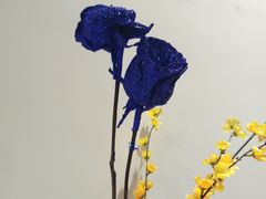 -素清香(解放路店)