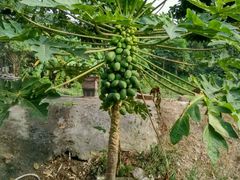 -邹记·美食(斗门店)