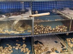 -蟹谢蒸鲜自助餐厅