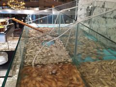 -合肥皇冠假日酒店·菲亚斯特自助餐厅(黄山路店)