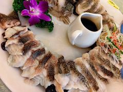 清蒸鲜鲈鱼-博雅渔港·融合菜(维也纳国际大酒店)