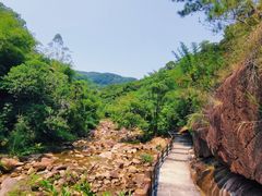 -广州白江湖森林公园