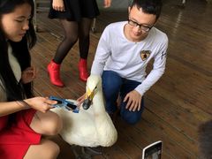 iphone_upload_pic-东部华侨城
