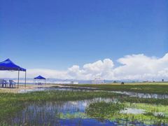 -青海湖国家重点风景名胜区