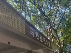 -广东茂名森林公园