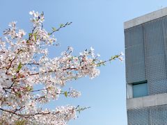 -龙美术馆(西岸馆)