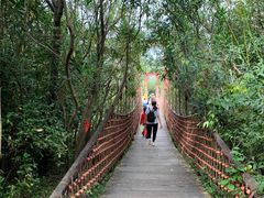 -吴淞炮台湾湿地森林公园烧烤区