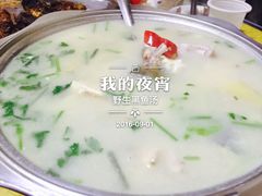 -煲来饱去冷水鱼