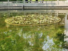 -广东革命历史博物馆办公楼