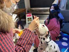 -萌喵宠狗爱心宠咖