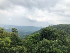 -呀诺达热带雨林