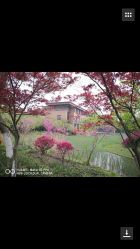 -雅馨国际月子中心
