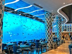 -瑞德姆美人鱼海底演艺主题餐厅(亚龙湾店)