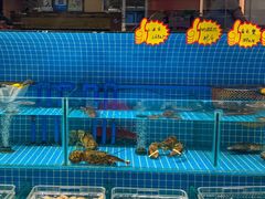 -大碗李·海鲜天津菜(河北路店)