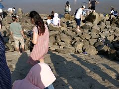 -南汇嘴观海公园