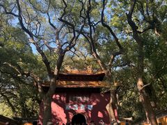 -普陀山风景名胜区-法雨禅寺