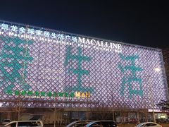 -红星美凯龙(东北全球家居1号店)