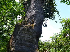 -山王坪喀斯特国家生态公园