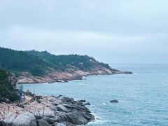 -广东惠东海龟国家级自然保护区