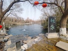 -百脉泉景区
